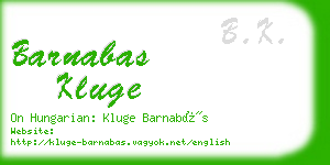 barnabas kluge business card